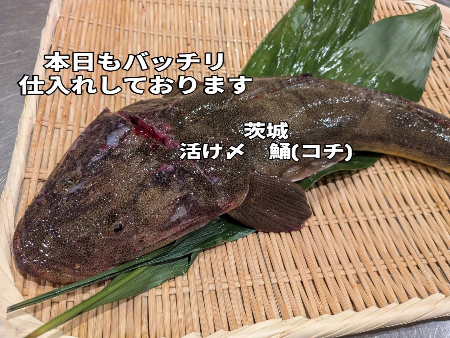 すし　中靜