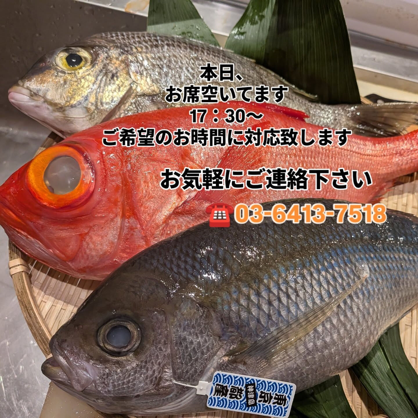 こんにちは　すし　中靜です