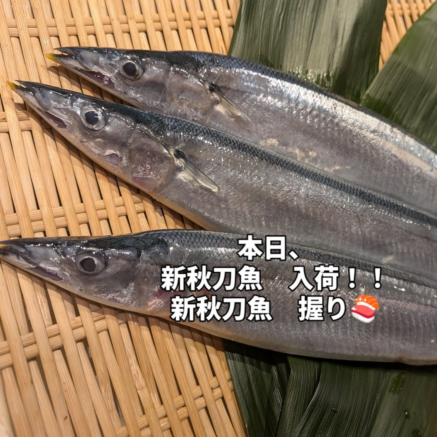 こんにちは　すし　中靜です