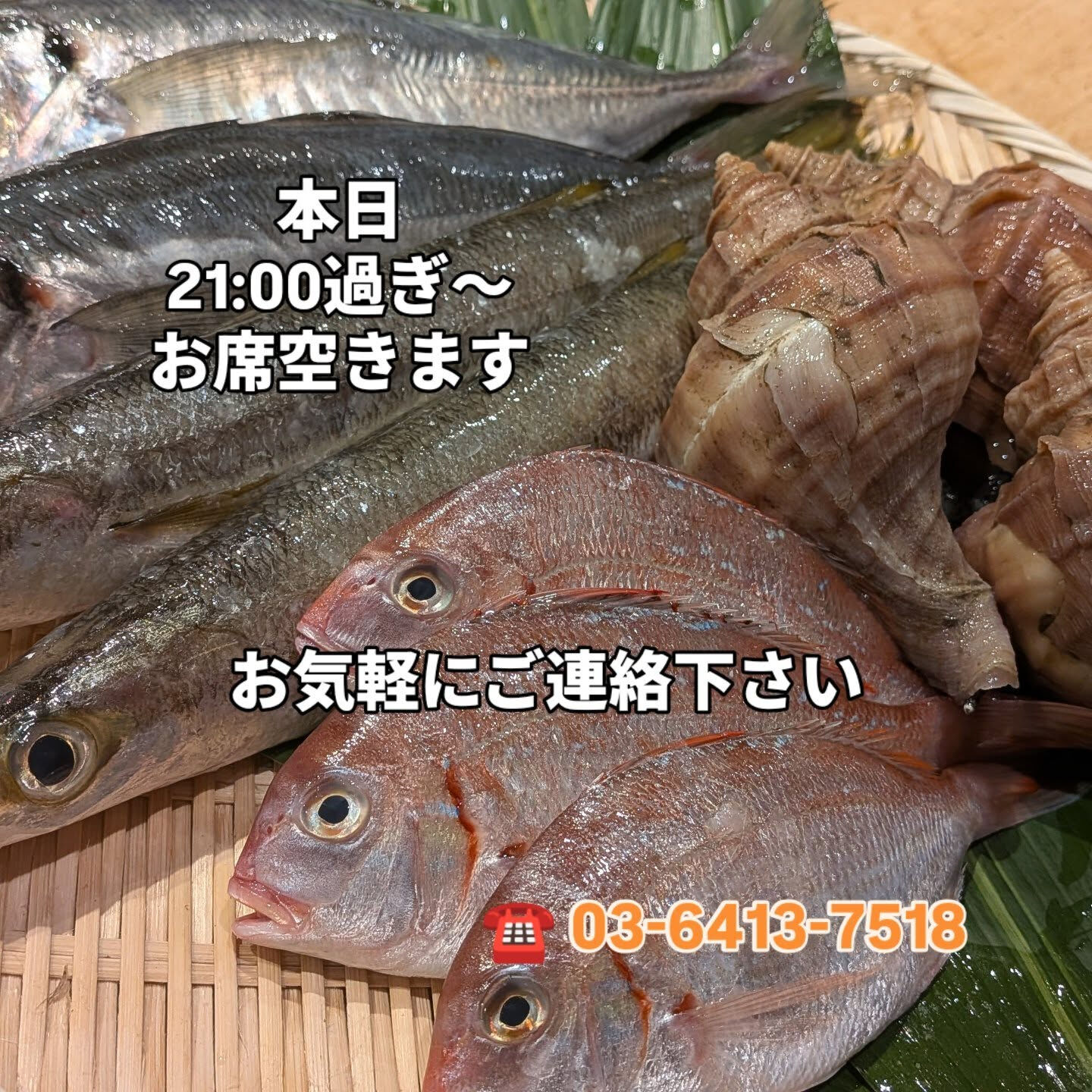おはようございます