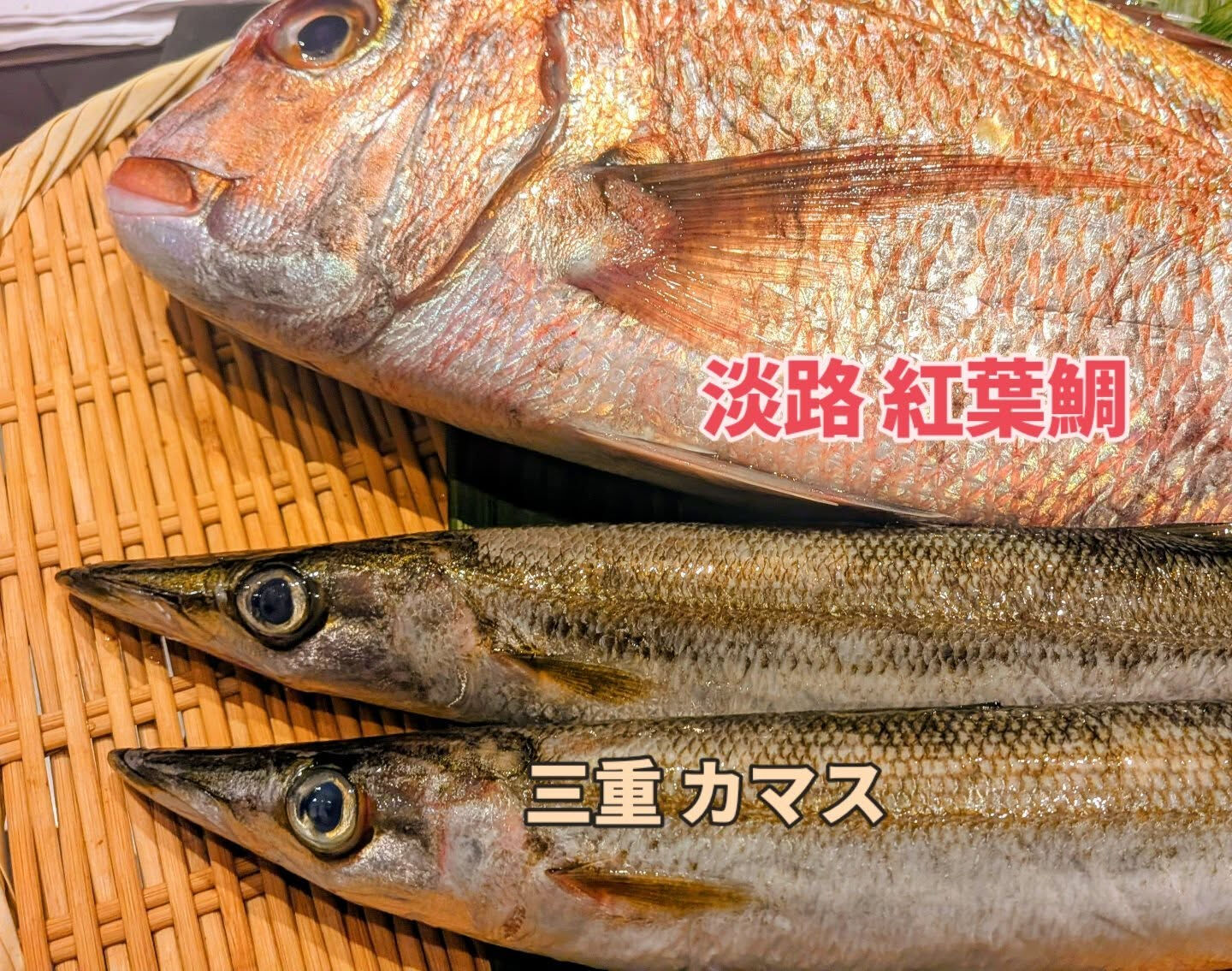 こんにちは