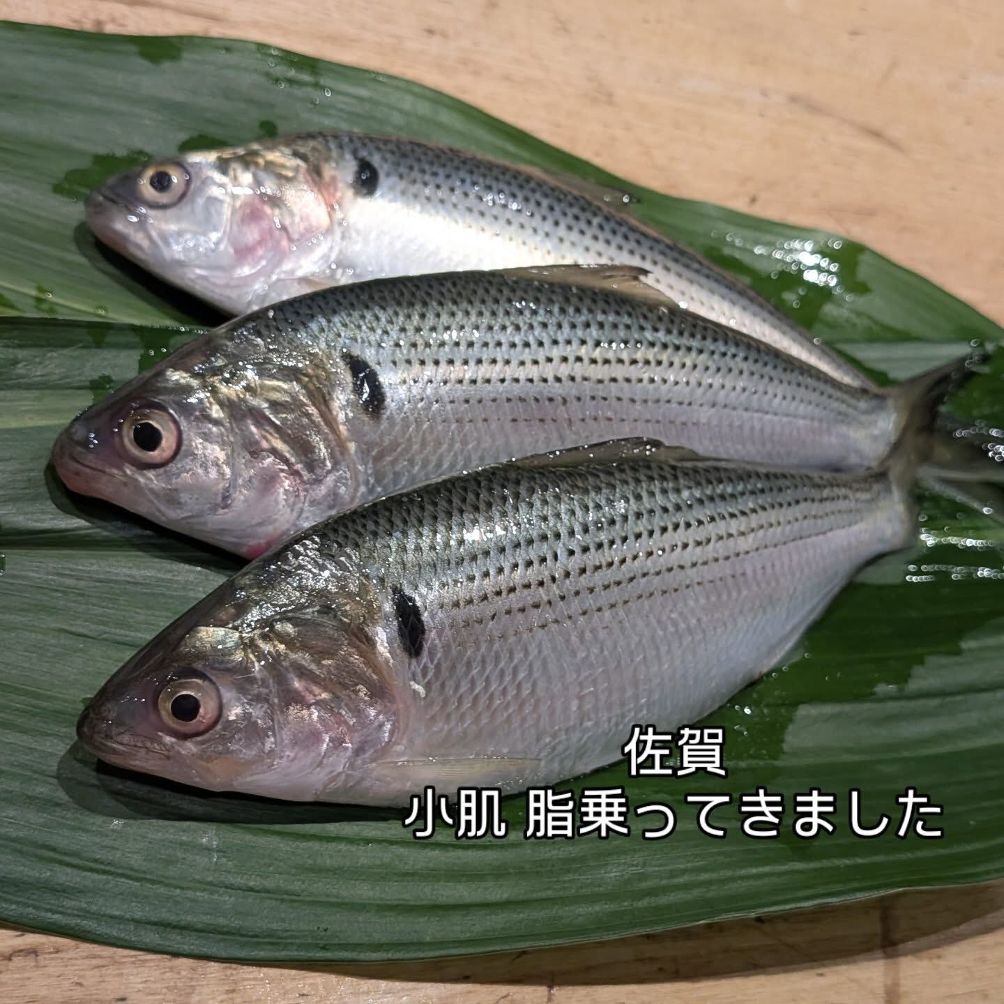 こんにちは